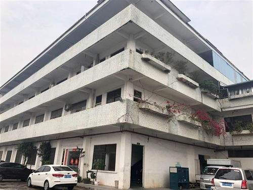 賓陽縣鋼結構廠房質量驗廠安全檢測 專業資質公司服務要點與風險提示